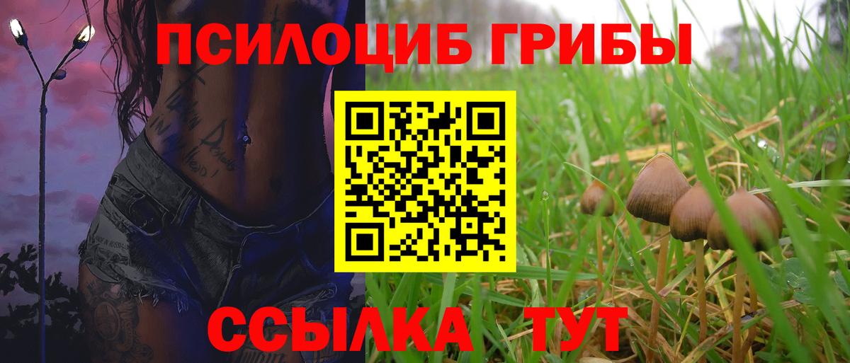 Галлюциногенные грибы GOLDEN TEACHER  Вход с VPN  Ставрополь  купить наркоту  Псилоцибиновые грибы Psilocybine cubensis 